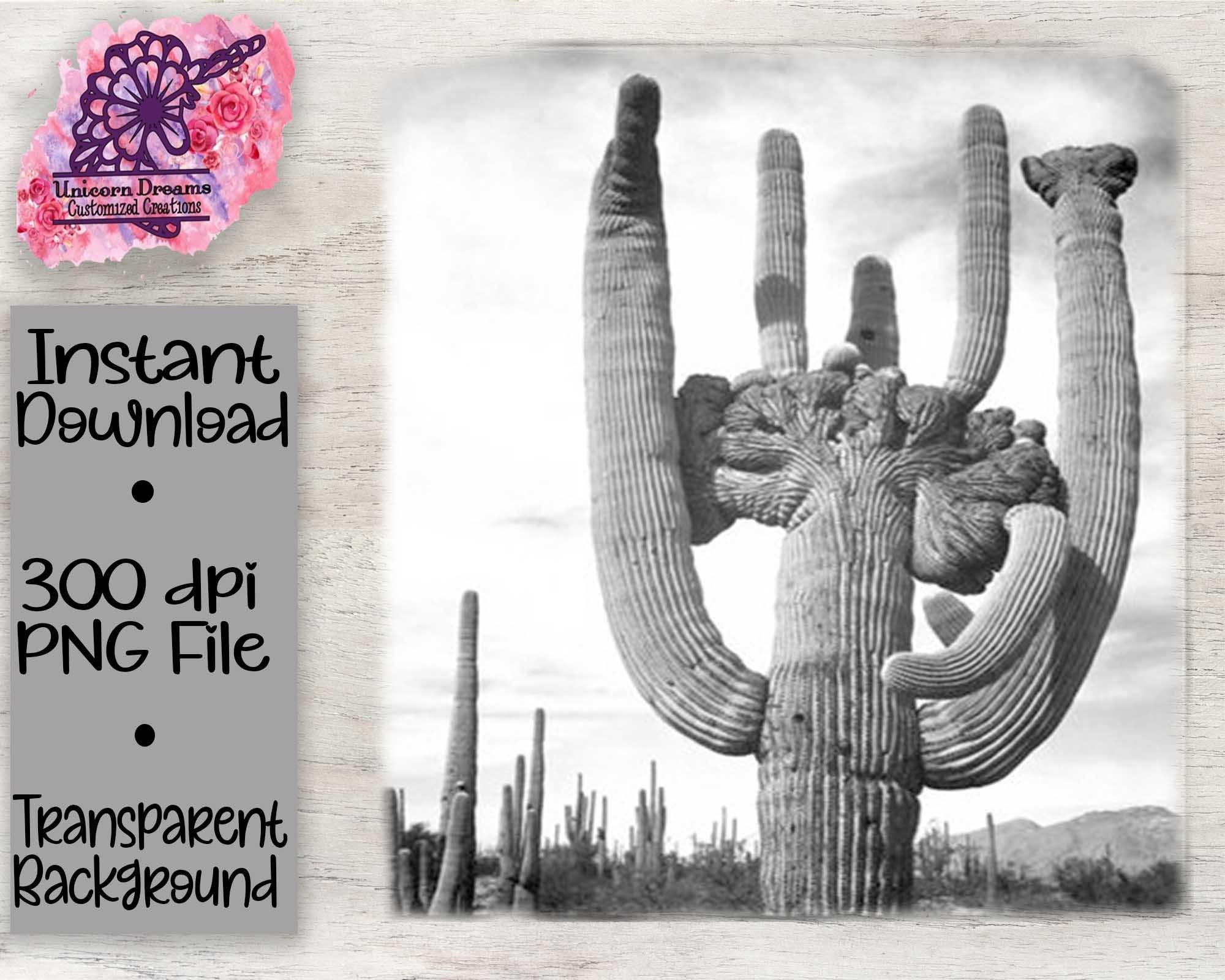 Cactus Monument Scene PNG Digital Download - Unicorn Dreams Customized Creations